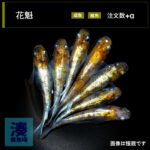 imm041