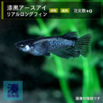 imm025