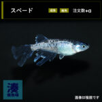 imm028