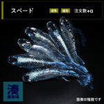 imm028