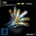 imm034