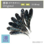imm038