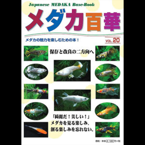 imb001