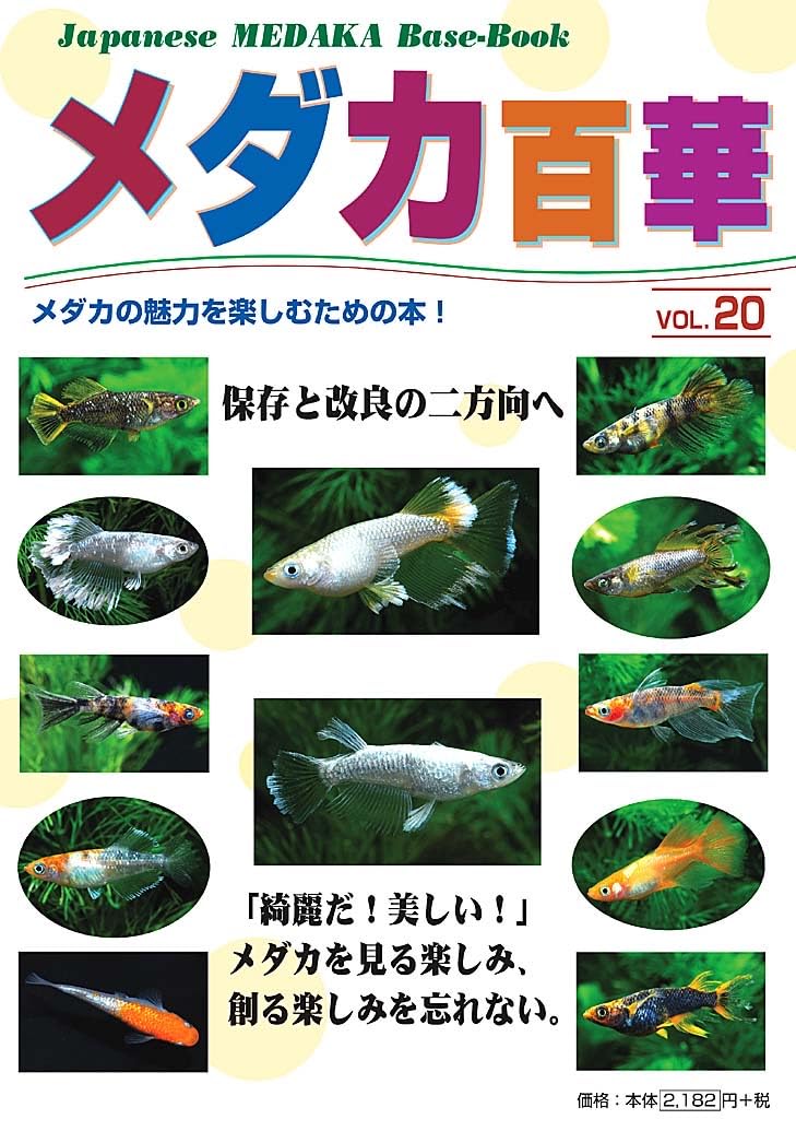 メダカ百華 VOL.20